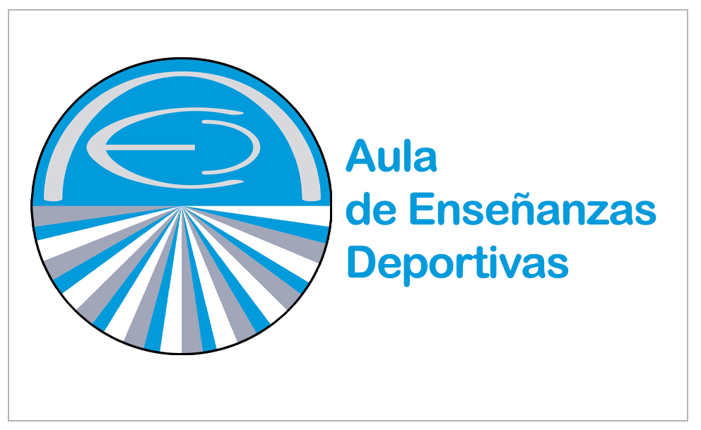icaed Volando Ideas